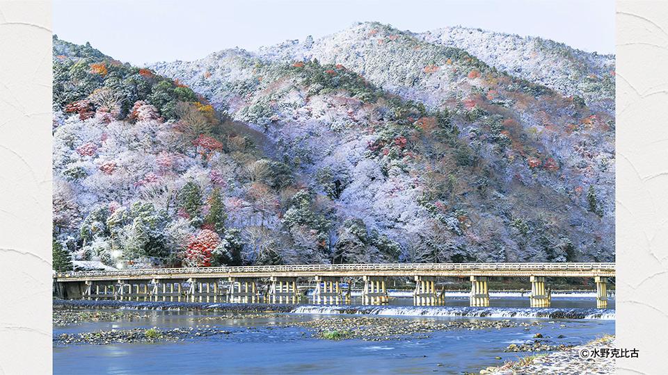 きょうもどこかでシャッターを (1) 