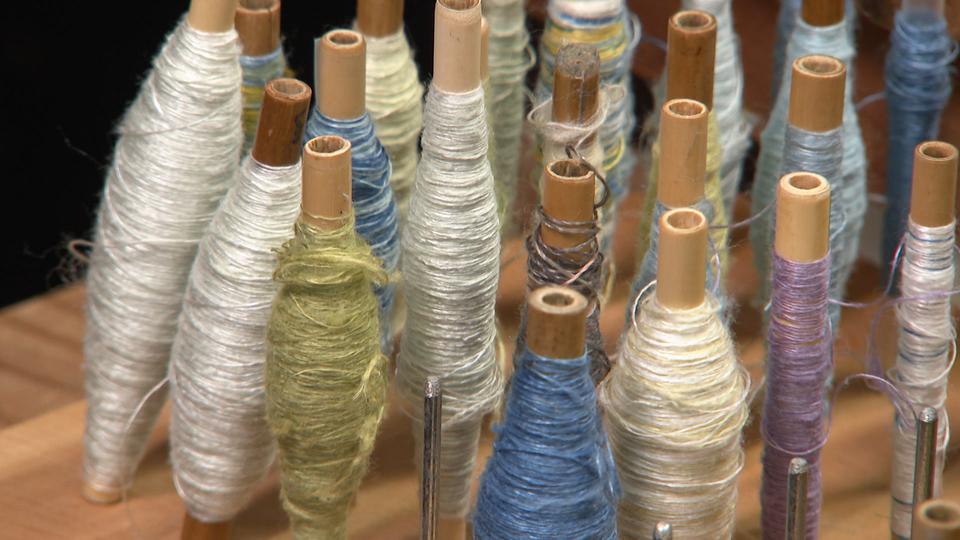 色という奇跡、人生を織る