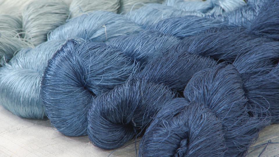 植物を育て、色を奏でる