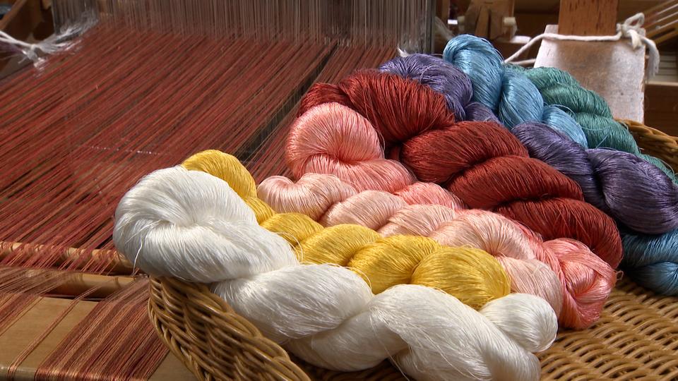 命をいただき、色を染める