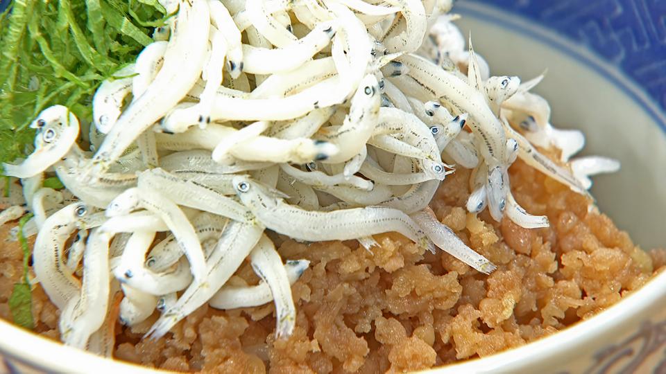 万能 鶏そぼろ丼