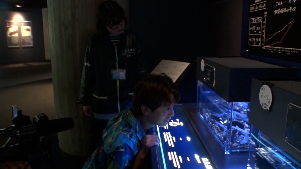 初めての京都水族館へ