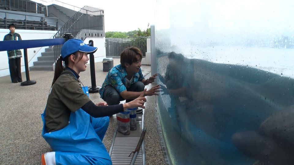 念願の京都水族館　第二弾！