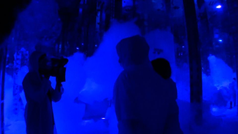 来月OPEN！チームラボ バイオヴォルテックス京都へ潜入！