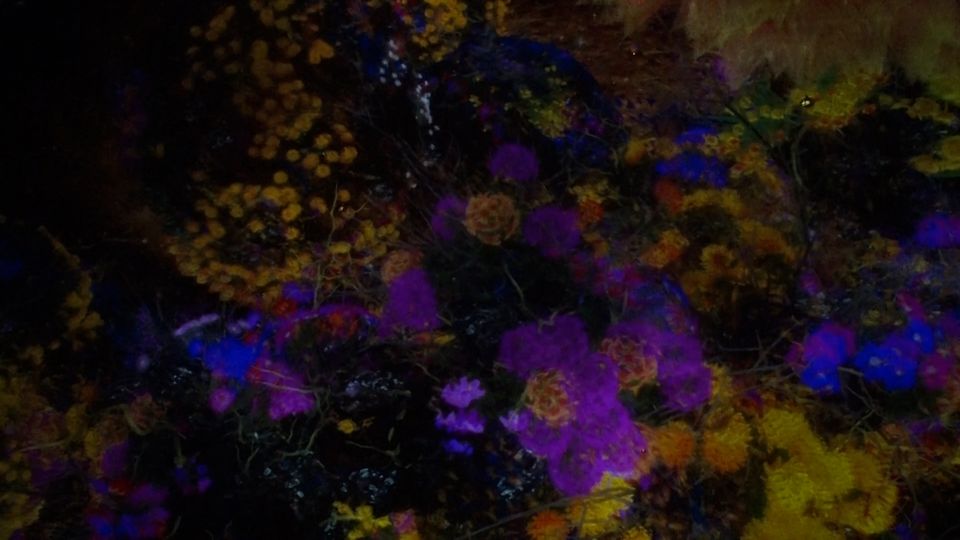 来月OPEN！チームラボ バイオヴォルテックス京都へ潜入！