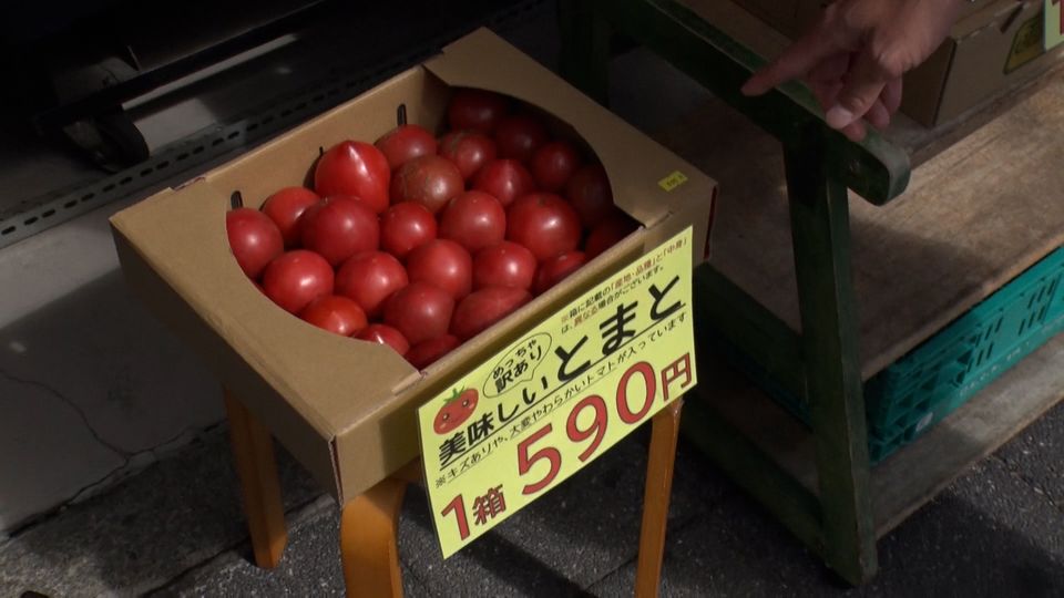 七条センター商店街を散策。おもしろいお店がたくさんありました！