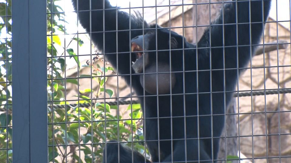 ゲストに須田亜香里さんを迎え、番組初の名古屋ロケ！