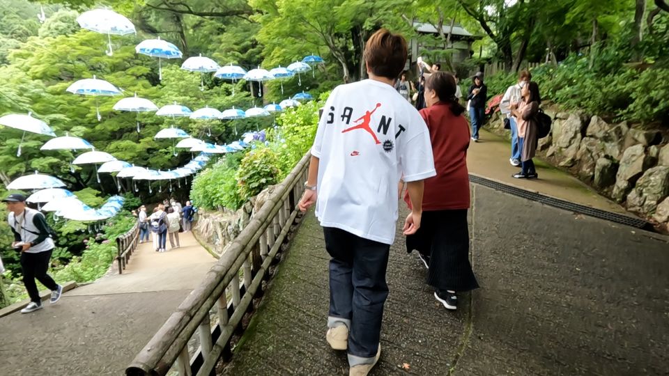 SNSで大人気！花手水発祥の寺 楊谷寺へ
