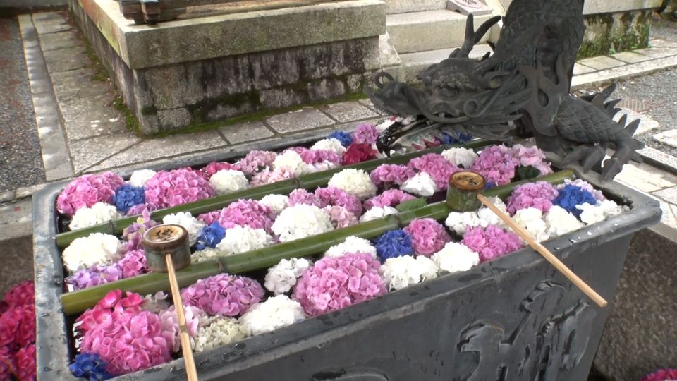 SNSで大人気！花手水発祥の寺 楊谷寺へ