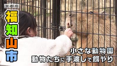 きょうとDays動画