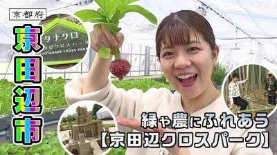 きょうとDays動画