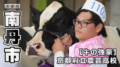 きょうとDays動画