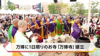 きょうとDays動画