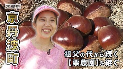 きょうとDays動画