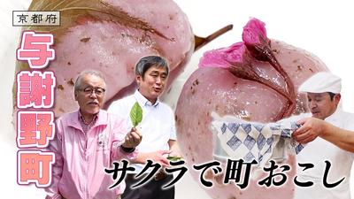 きょうとDays動画