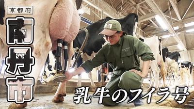 きょうとDays動画