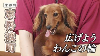きょうとDays動画