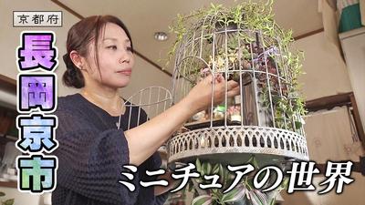 きょうとDays動画