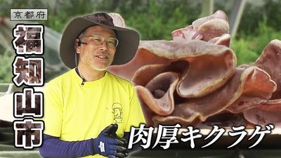 きょうとDays動画