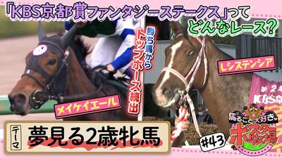 馬るごと大好き♡ポスター牧場　第４３話