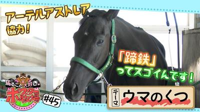 馬るごと大好き♡ポスター牧場　第４５話