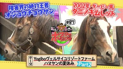 馬るごと大好き♡ポスター牧場　第８７話