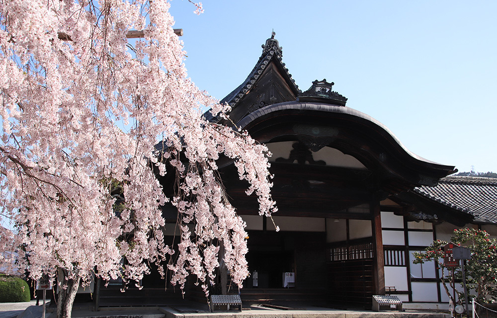 番組風景