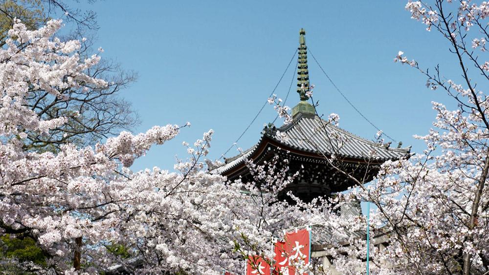 番組風景