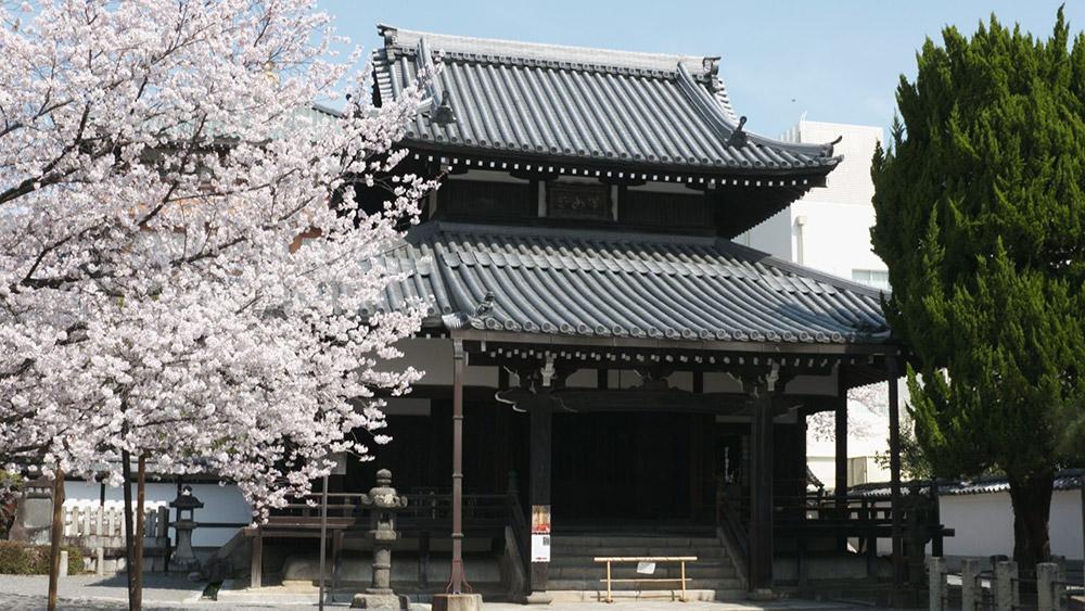 番組風景
