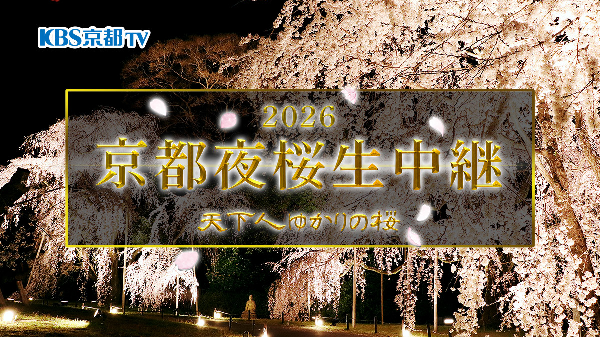 京都夜桜生中継2026 ～天下人ゆかりの桜～｜KBS京都テレビ