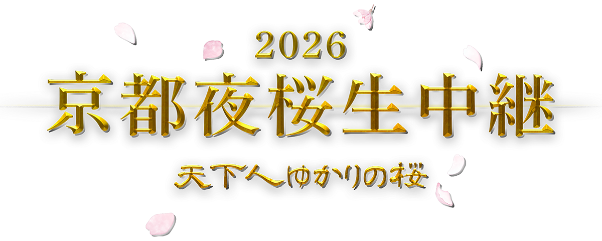 京都夜桜生中継