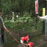 岡崎体育の京の観察日記 Gallery