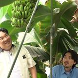 岡崎体育の京の観察日記 Gallery