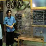 岡崎体育の京の観察日記 Gallery