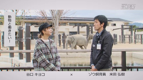 谷口流々 Gallery
