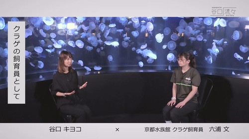 谷口流々 Gallery