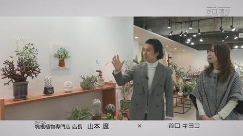 谷口流々 Gallery