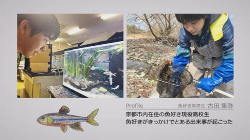 谷口流々 Gallery