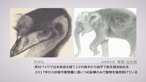 谷口流々 Gallery