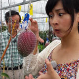 201607_yumeoibito_s008.jpg