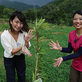 201809_yumeoibito_k007.jpg
