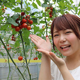 201908_yumeoibito_k001.jpg