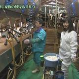 201503_yumeoibito_s004.jpg