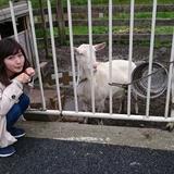 201505_yumeoibito_k002.jpg