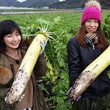 201601_yumeoibito_s006.jpg