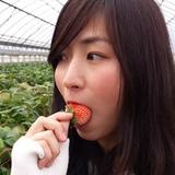 201702_yumeoibito_s011.jpg