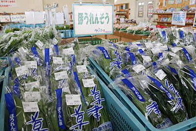 202012_yumeoibito_s007_002.jpg