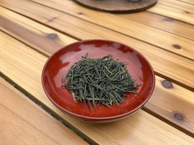 政所茶の新茶