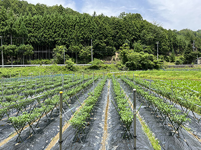 山内 宗さん