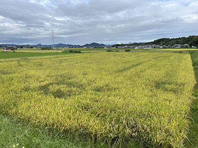 西河正樹さん